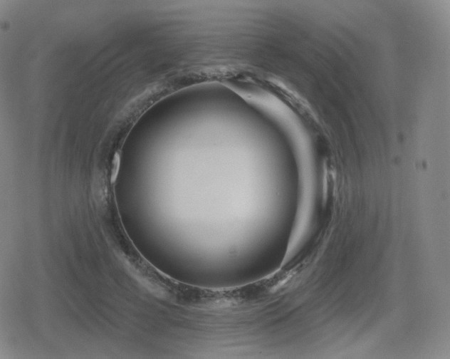 X0000080720593200612151201