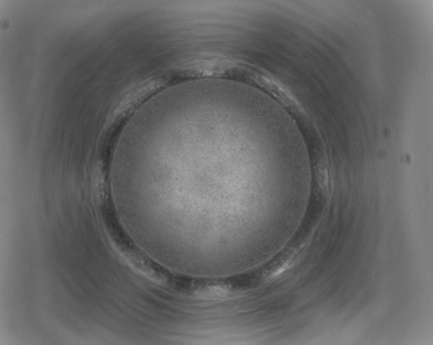 X0000080720594200612151201