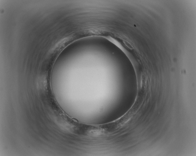 X0000080720595200612151201