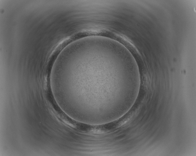 X0000080720596200612151201