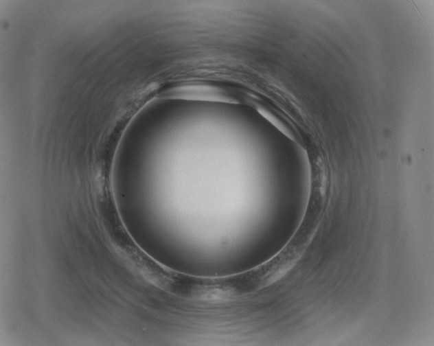 X0000080720597200612151201