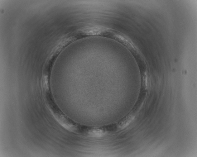 X0000080720598200612151201