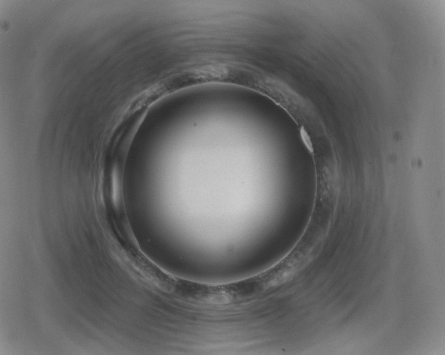 X0000080720600200612151201