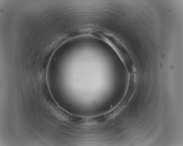 X0000080720601200612151201