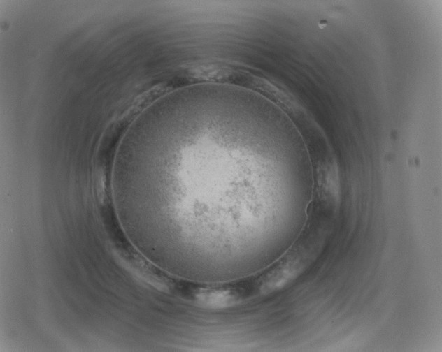 X0000080720602200612151201