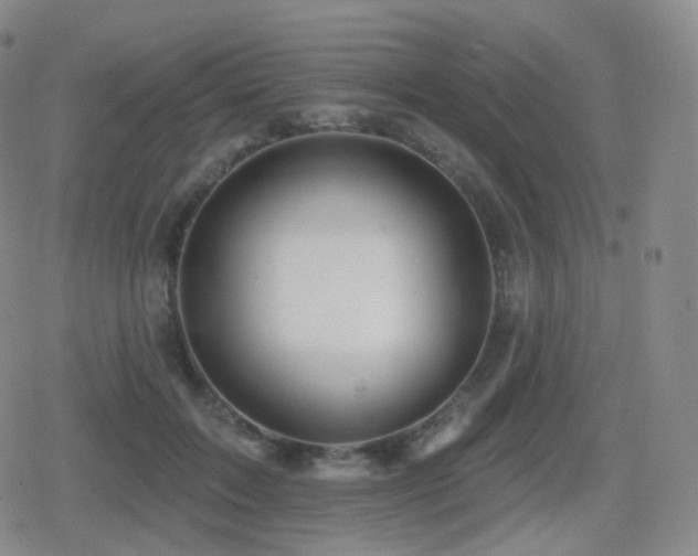 X0000080720603200612151201