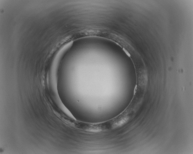 X0000080720604200612151201