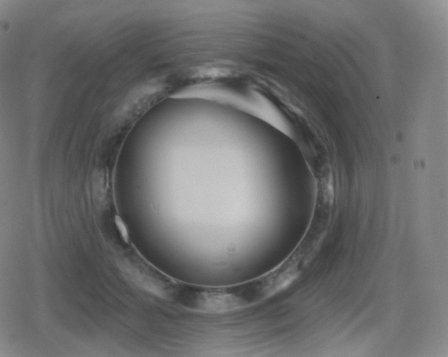 X0000080720605200612151201