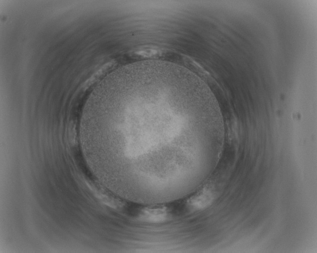 X0000080720606200612151201