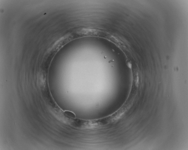 X0000080720607200612151200