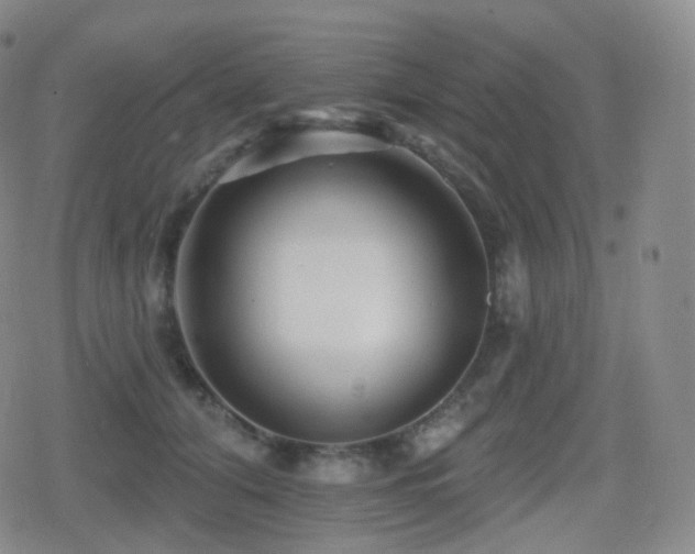 X0000080720608200612151200