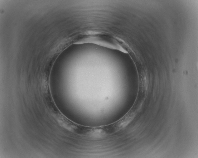 X0000080720609200612151200