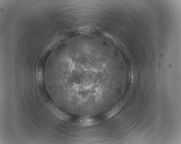 X0000080720610200612151200