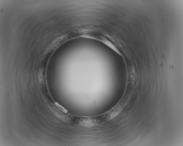 X0000080720611200612151200