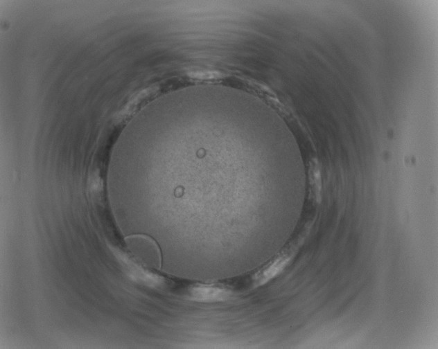 X0000080720614200612151200