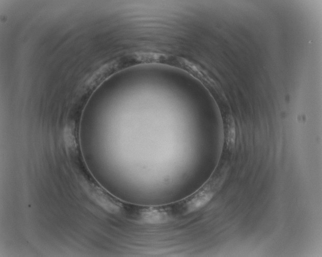 X0000080720616200612151200