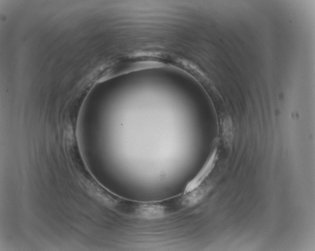 X0000080720617200612151200