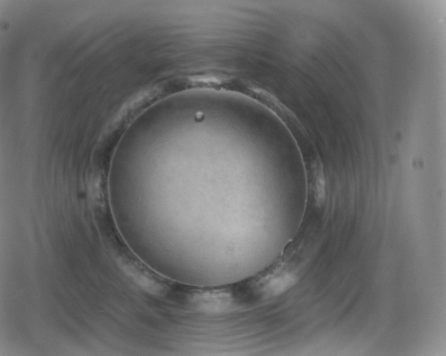 X0000080720619200612151200