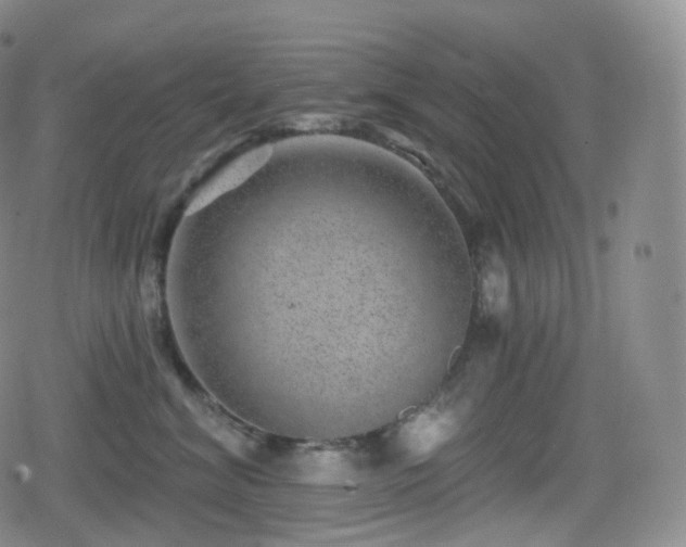 X0000080720620200612151200