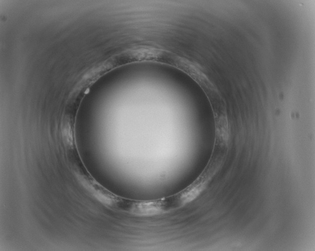 X0000080720622200612151200