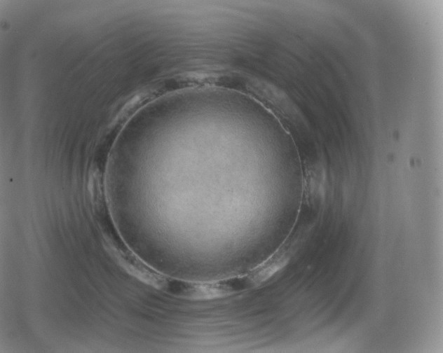 X0000080720623200612151200