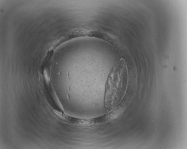 X0000080720624200612151200