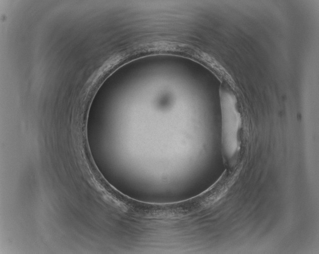 X0000080720625200612151159