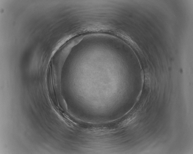 X0000080720626200612151159