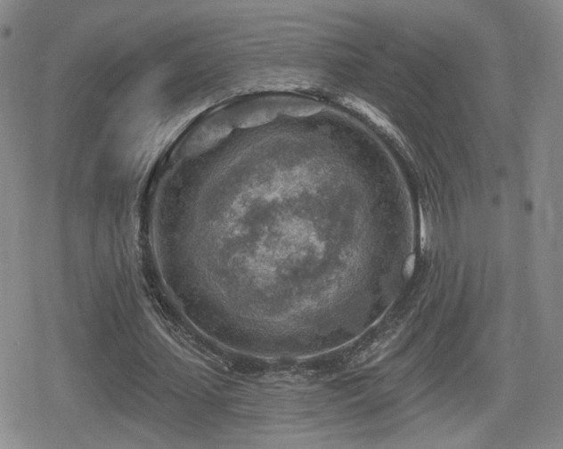 X0000080720627200612151159