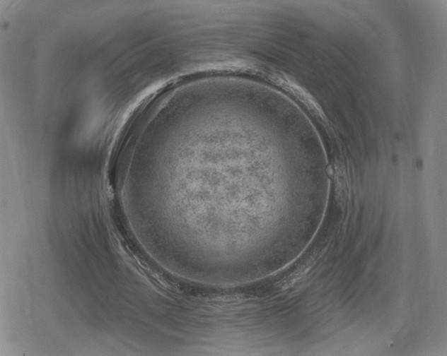 X0000080720628200612151159