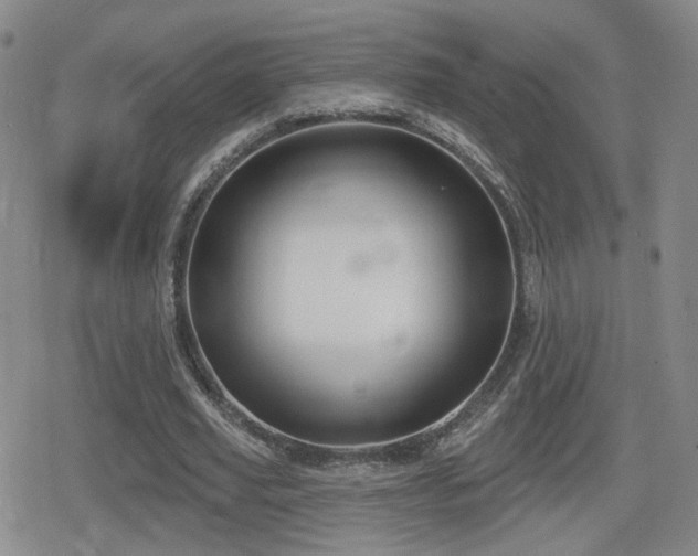 X0000080720629200612151159