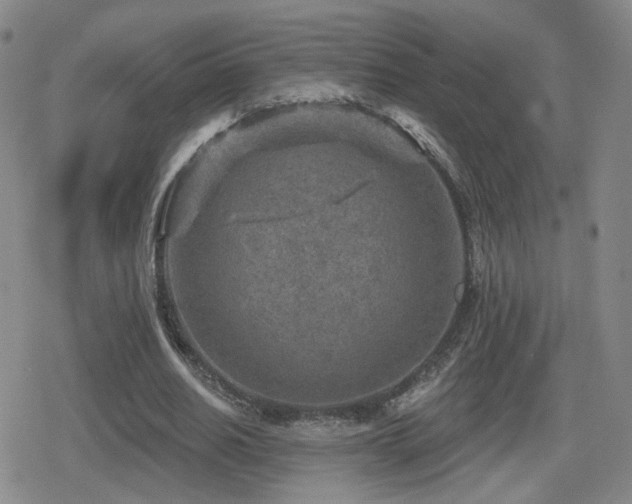 X0000080720630200612151159