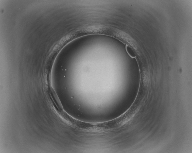 X0000080720633200612151200