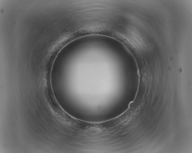 X0000080720635200612151200