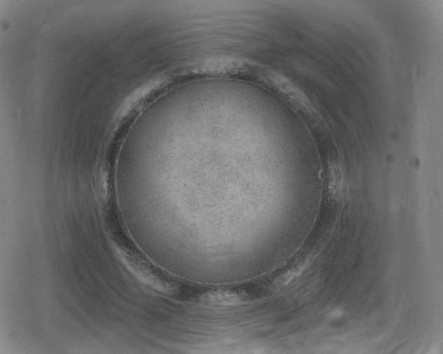 X0000080720636200612151200