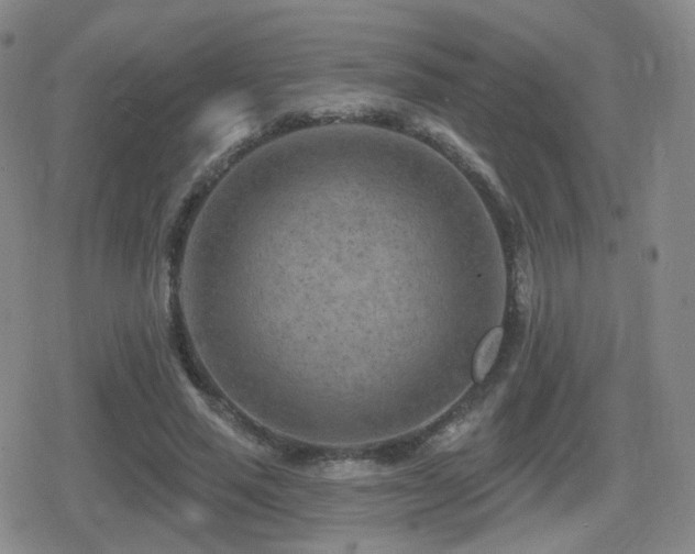 X0000080720637200612151200