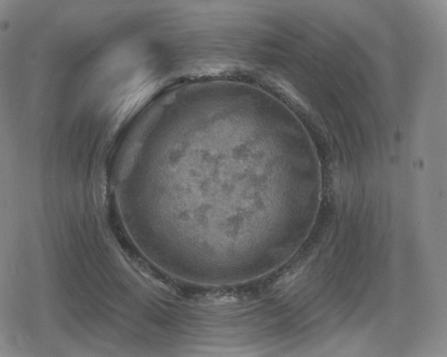 X0000080720640200612151200