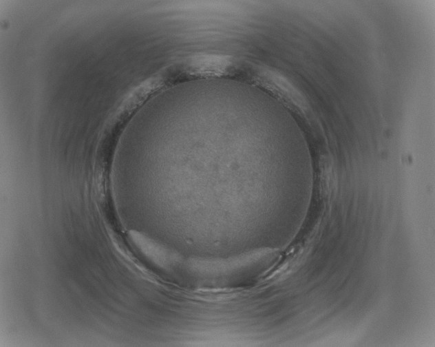 X0000080720641200612151200