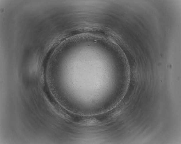 X0000080720642200612151200