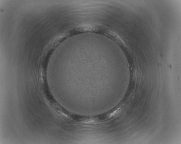 X0000080720643200612151200