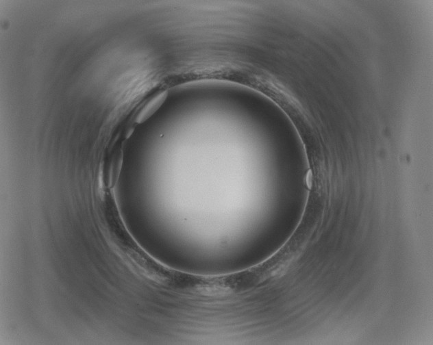 X0000080720644200612151200