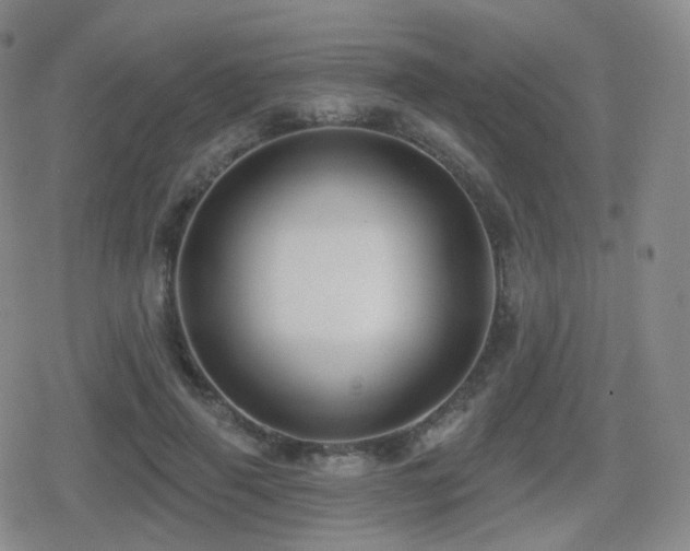 X0000080720645200612151200