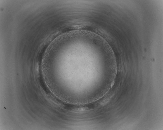 X0000080720646200612151200