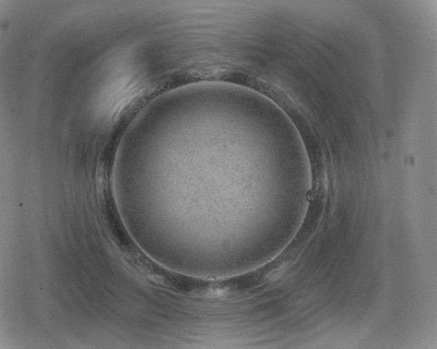 X0000080720647200612151200