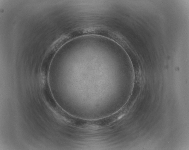 X0000080720648200612151200