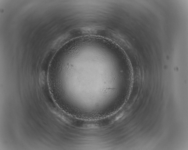 X0000080720649200612151200