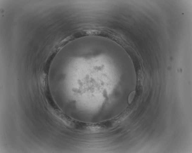 X0000080720650200612151200