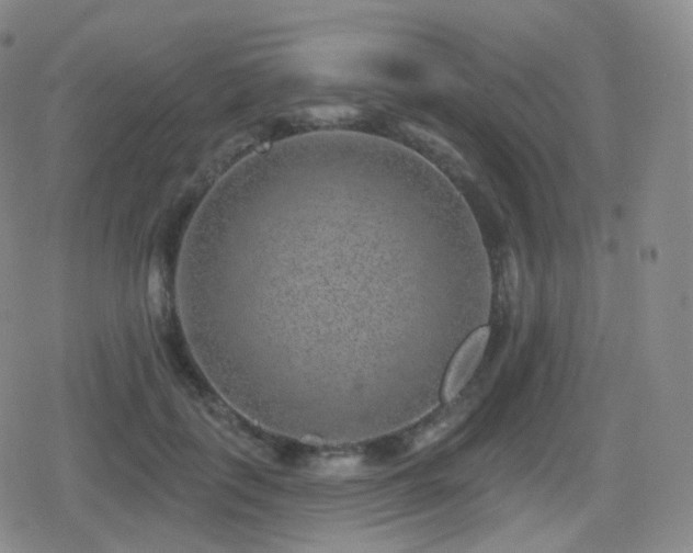 X0000080720651200612151200