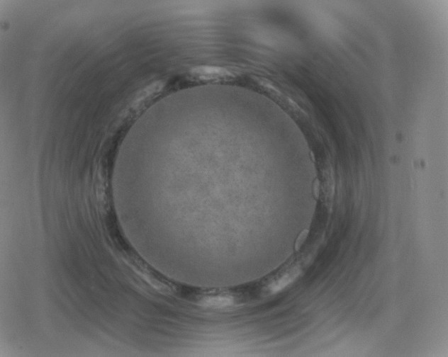 X0000080720653200612151200