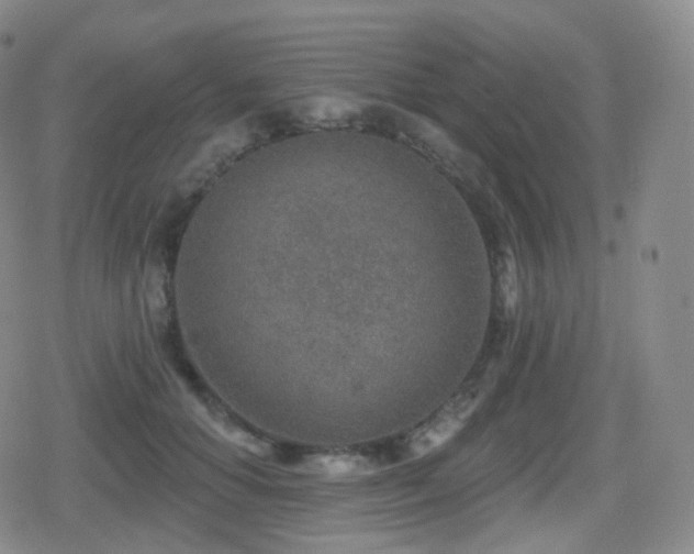 X0000080720654200612151200